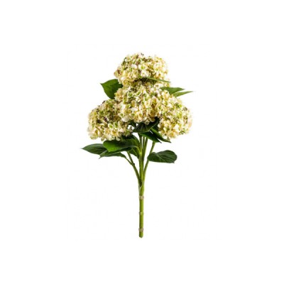 Green Hydrangea Five Flower Stem