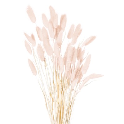 Dried Pale Pink Bunny Tail Bunch Of 60