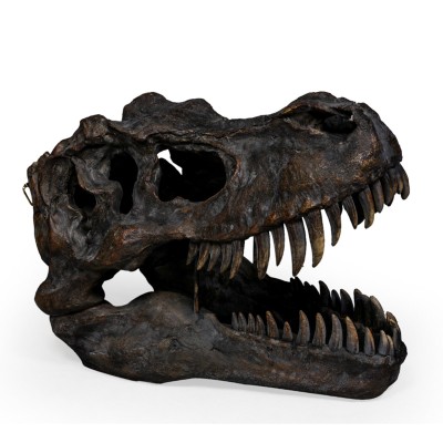 Extra Large Tyrannosaurus Rex Skull Wall Art