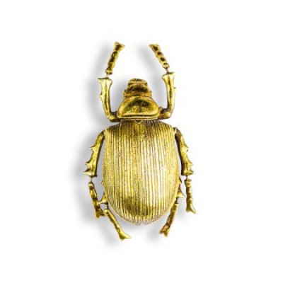 Medium Gold Striped Beetle